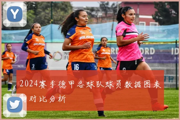 2024赛季德甲各球队球员数据图表与对比分析