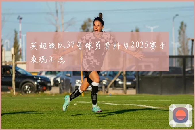 英超狼队37号球员资料与2025赛季表现汇总
