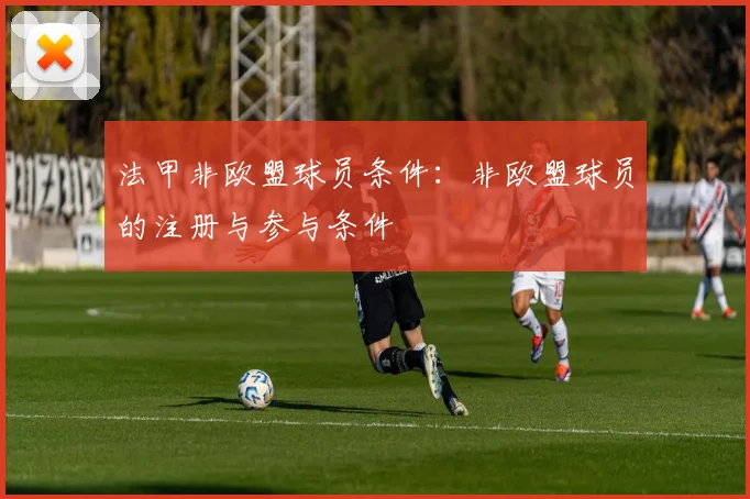 法甲非欧盟球员条件：非欧盟球员的注册与参与条件