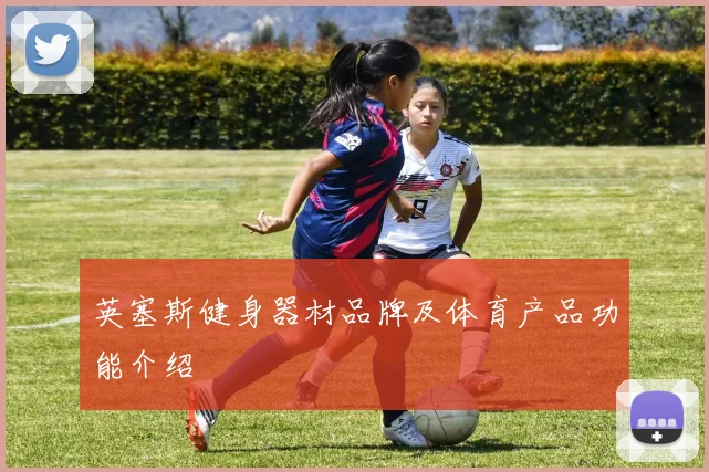 英塞斯健身器材品牌及体育产品功能介绍
