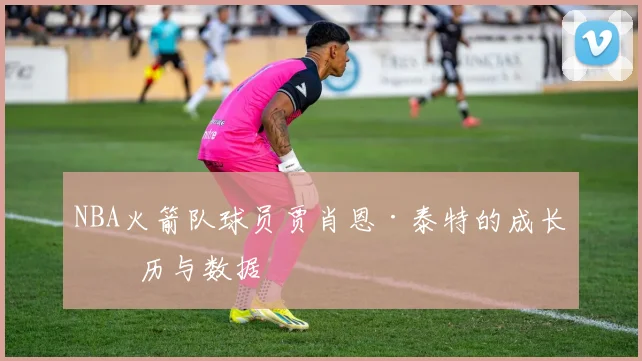 NBA火箭队球员贾肖恩·泰特的成长经历与数据